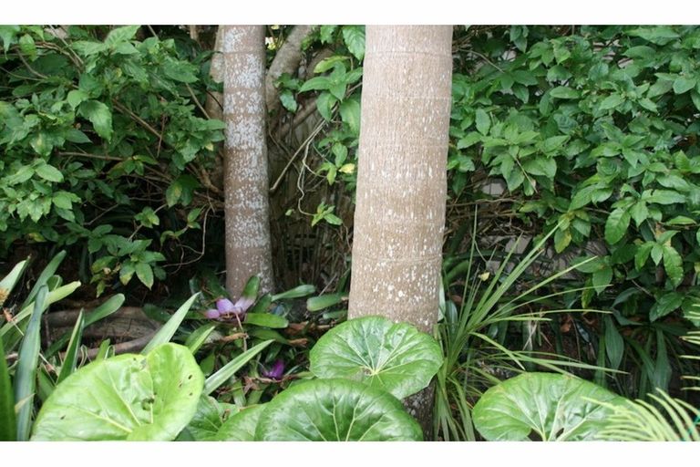 Photo of property in 2 Ashby Street, Russell, 0202