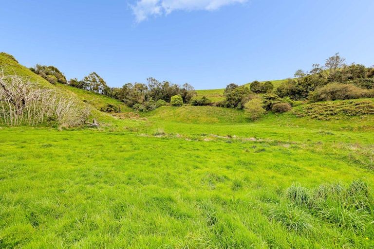 Photo of property in 513a Herepuru Road, Matata, 3194