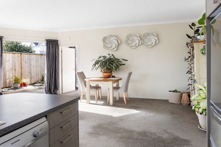 Photo of property in 7b Harrow Place, Mount Maunganui, 3116