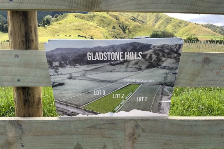 Photo of property in 167 Gladstone Road, Levin, 5571