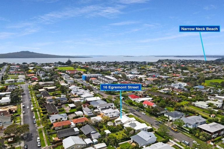 Photo of property in 16 Egremont Street, Belmont, Auckland, 0622