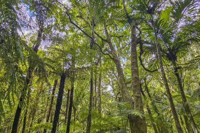 Photo of property in 92 Tender Road, Dairy Flat, Albany, 0794