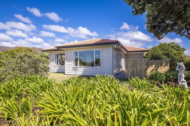 Photo of property in 1 Sandpiper Court, Paraparaumu Beach, Paraparaumu, 5032