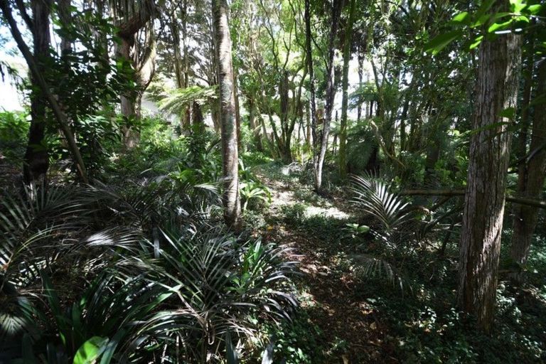 Photo of property in 51 Hill Street, Warkworth, 0910