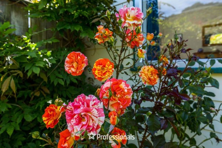 Photo of property in 1 Gemstone Drive, Birchville, Upper Hutt, 5018