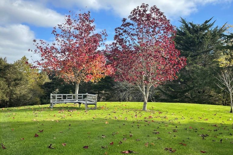 Photo of property in 263 Sunnyside Road, Coatesville, 0793