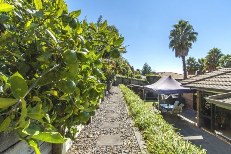 Photo of property in 39 Highgrove Place, Bethlehem, Tauranga, 3110