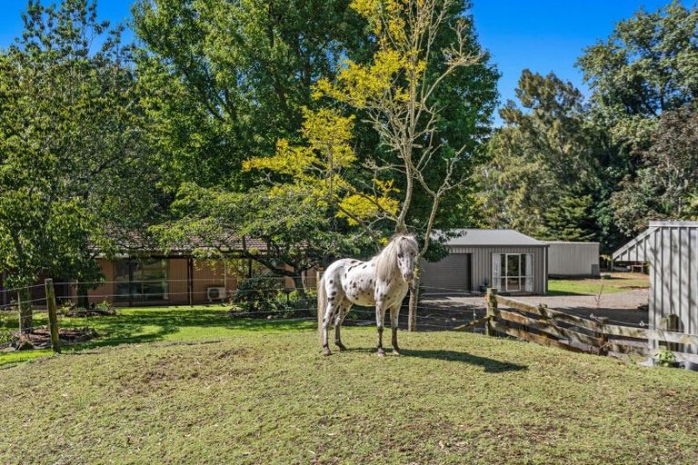 Photo of property in 529 Grieve Road, Te Teko, Whakatane, 3192