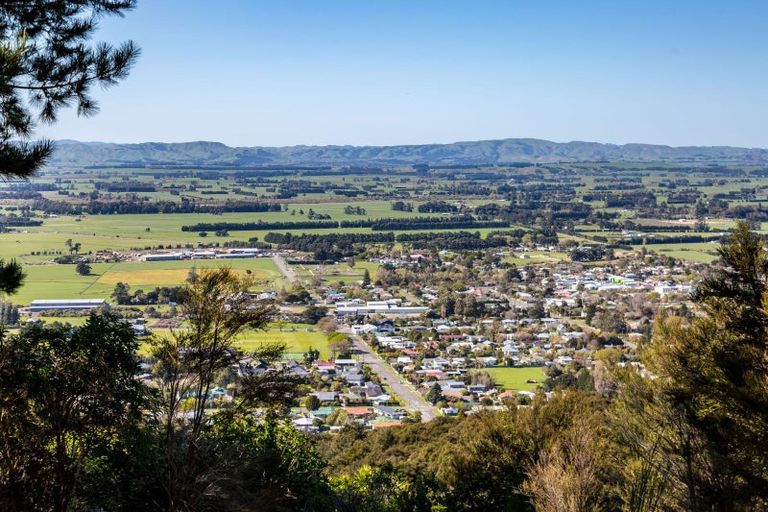 Photo of property in 91 Boar Bush Gully Road, Featherston, 5710