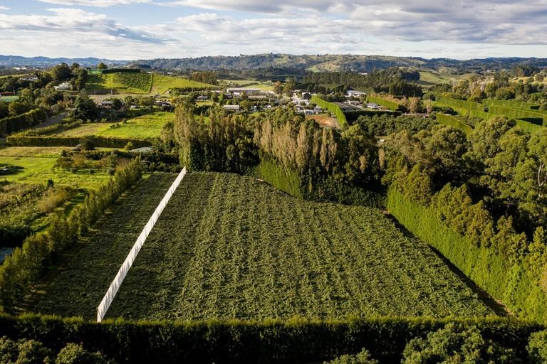 Photo of property in 39 Prole Road, Omokoroa, Tauranga, 3172