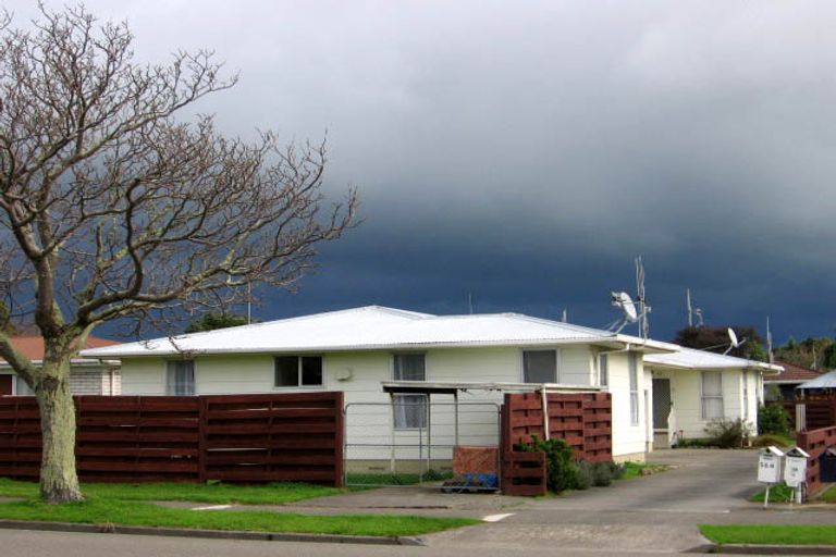 Photo of property in 56 Maxwells Line, Awapuni, Palmerston North, 4412