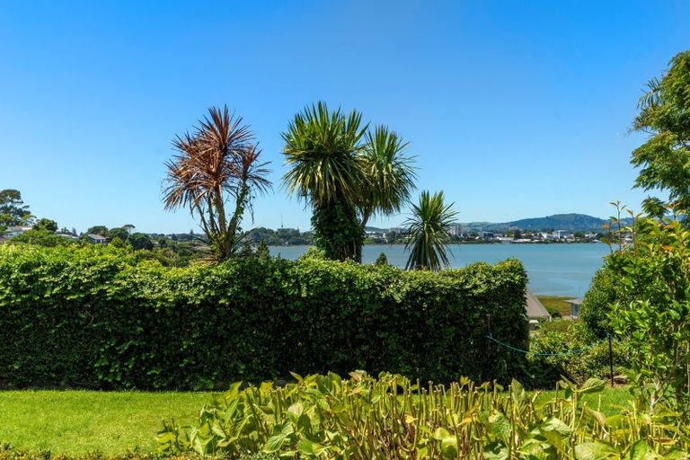 Photo of property in 167 Grange Road, Otumoetai, Tauranga, 3110