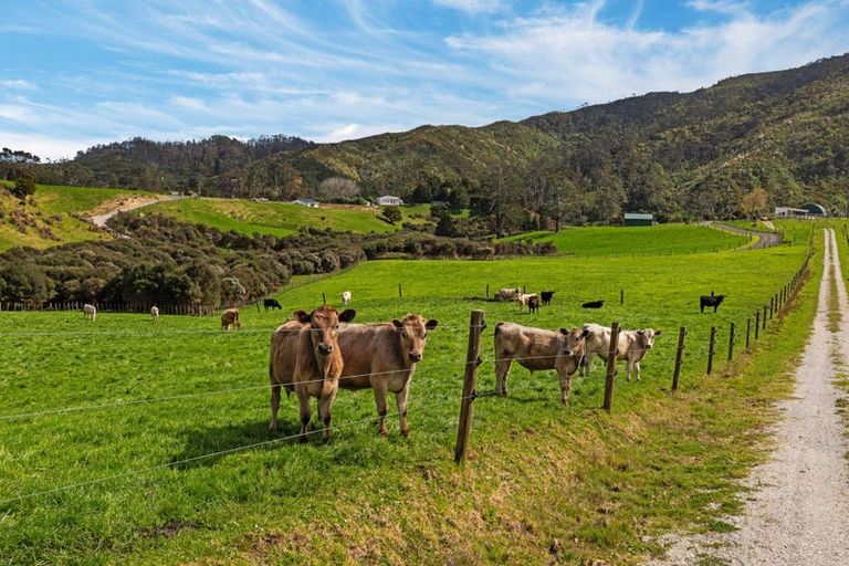 Photo of property in 5 William James Lane, Makarau, Warkworth, 0984