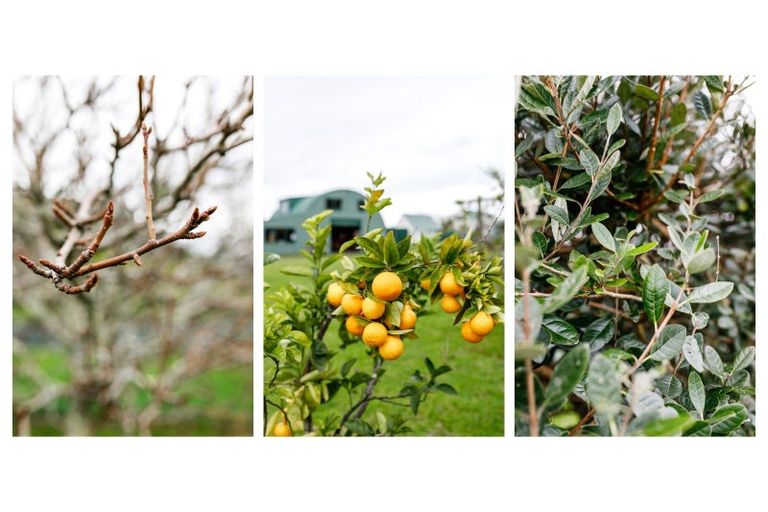 Photo of property in 1 Rawinia Place, Te Kaha, 3199