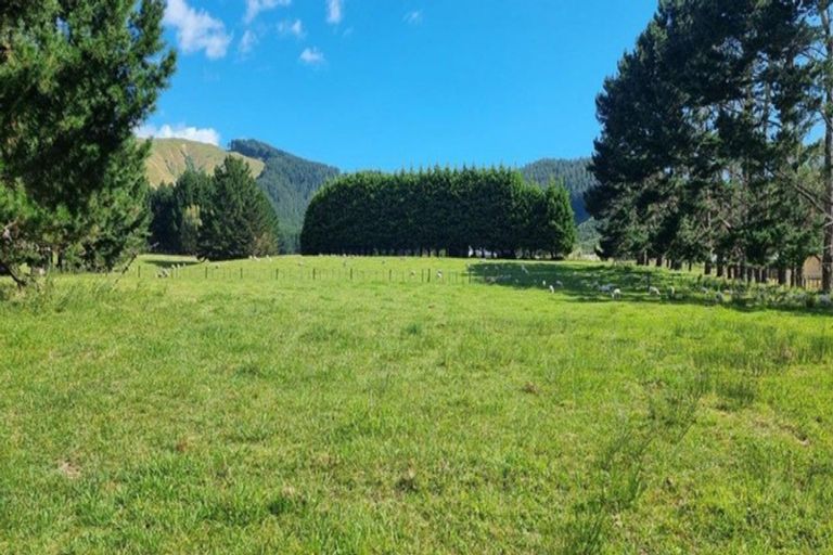 Photo of property in 216 Potts Road, Koputaroa, Levin, 5571