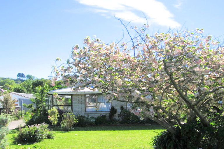 Photo of property in 157 Clifford Street, Whataupoko, Gisborne, 4010