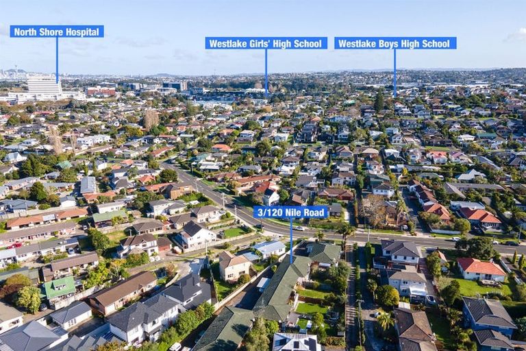 Photo of property in 3/120 Nile Road, Milford, Auckland, 0620