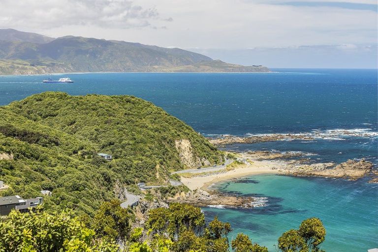 Photo of property in 169 Buckley Road, Southgate, Wellington, 6023