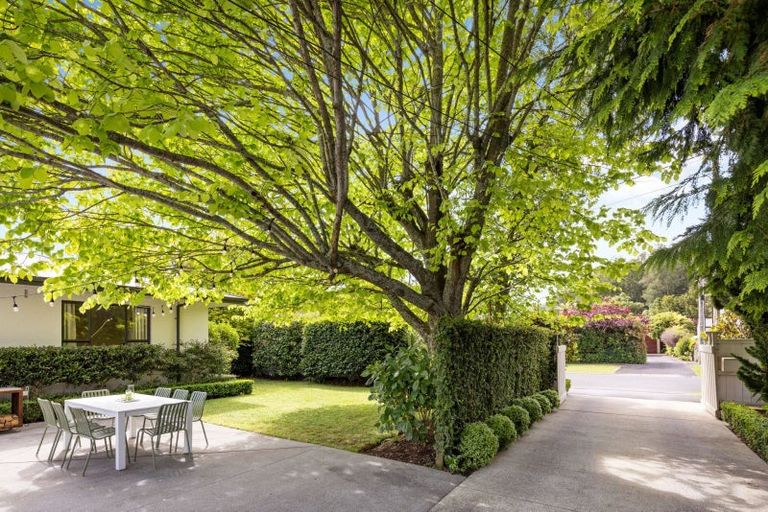 Photo of property in 8 Bailey Avenue, Claudelands, Hamilton, 3214