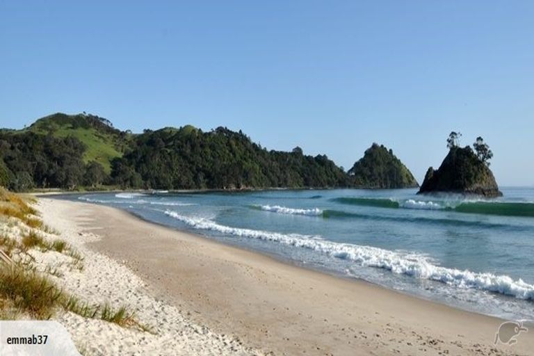 Photo of property in 46 Te Punga Road, Whangapoua, Coromandel, 3582