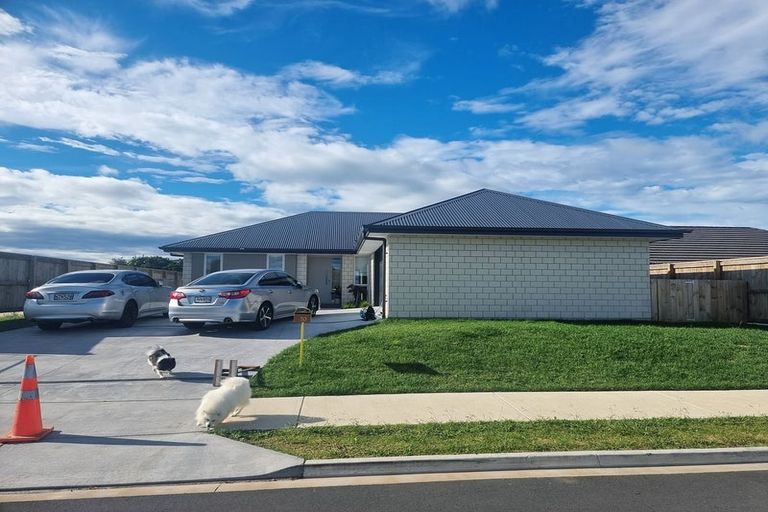 Photo of property in 10 Karearea Drive, Coastlands, Whakatane, 3120