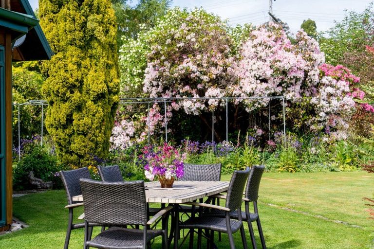 Photo of property in 7 Greenhithe Street, Waihola, Milton, 9073