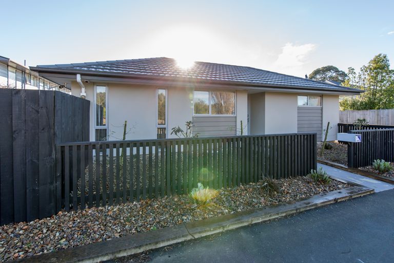 Photo of property in 13 Cross Street, Phillipstown, Christchurch, 8011