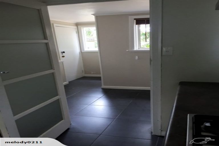 Photo of property in 17 Massey Avenue, Greenlane, Auckland, 1061