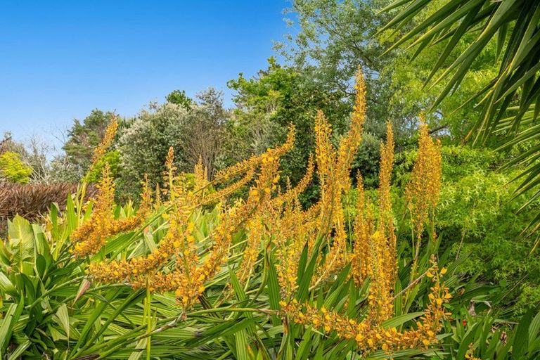 Photo of property in 56a Kaipara Coast Highway, Helensville, Kaukapakapa, 0871