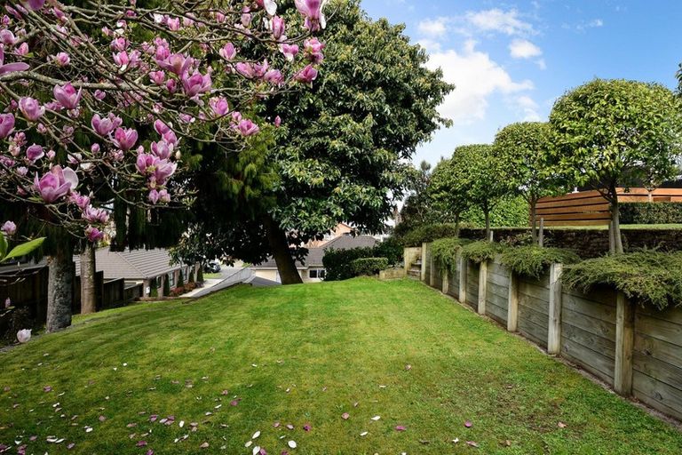 Photo of property in 4 Dyer Street, Whitiora, Hamilton, 3200