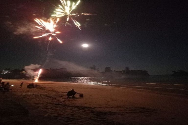 Photo of property in 2/918 Beach Road, Waiake, Auckland, 0630