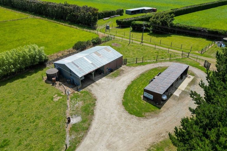Photo of property in 644 Ryal Bush Wallacetown Road, Wallacetown, Invercargill, 9874