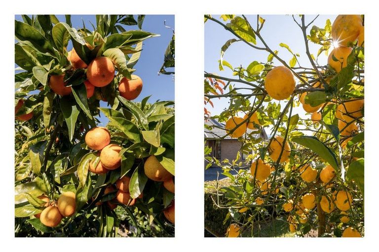 Photo of property in 7 Haden Place, Omokoroa, 3114