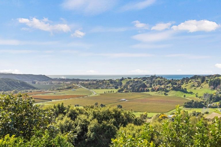 Photo of property in 91 Eskridge Drive, Eskdale, Napier, 4182