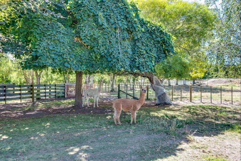 Photo of property in 1400 Railway Road South, Longlands, Hastings, 4178
