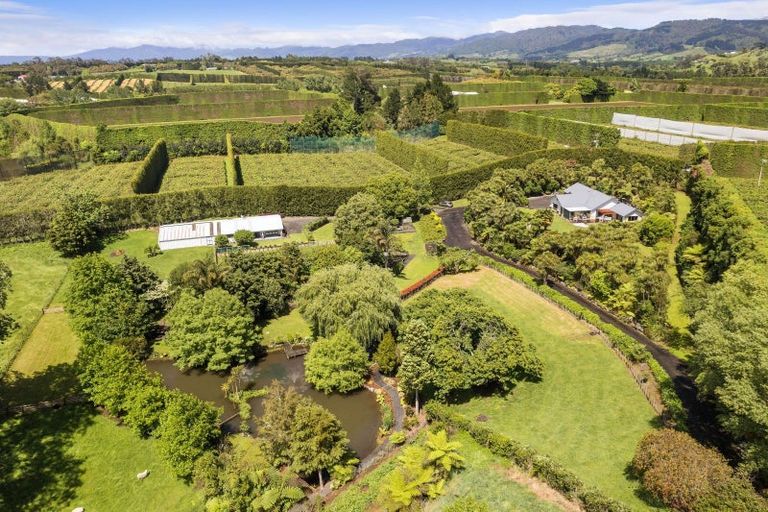 Photo of property in 24 Tuapiro Road, Tahawai, Katikati, 3170