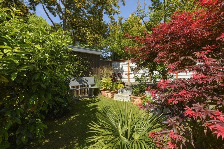 Photo of property in 274 Cambridge Road, Bethlehem, Tauranga, 3110