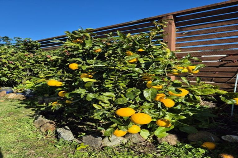 Photo of property in 4 Courthouse Lane, Coromandel, 3506