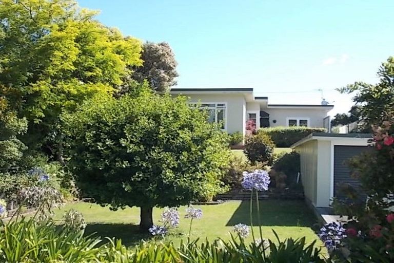 Photo of property in 141 Carlton Avenue, Springvale, Whanganui, 4501
