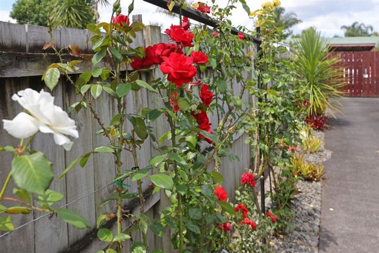 Photo of property in 1/56 Woodglen Road, Glen Eden, Auckland, 0602