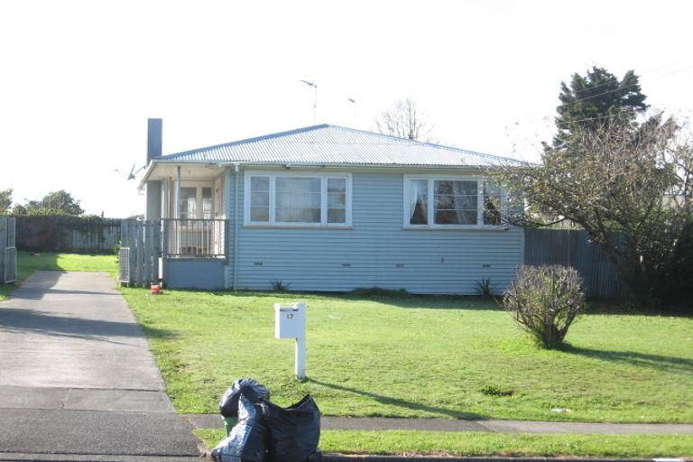 Photo of property in 17 Rimu Road, Manurewa, Auckland, 2102