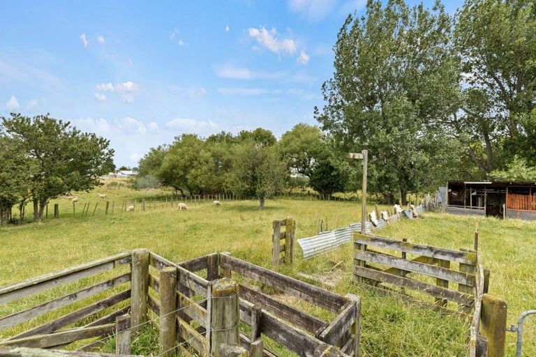 Photo of property in 38 Kensington Road, Marton, 4710