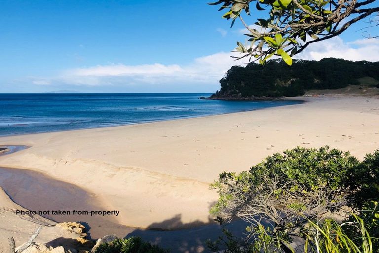 Photo of property in 203 Onemana Drive, Onemana, Whangamata, 3691