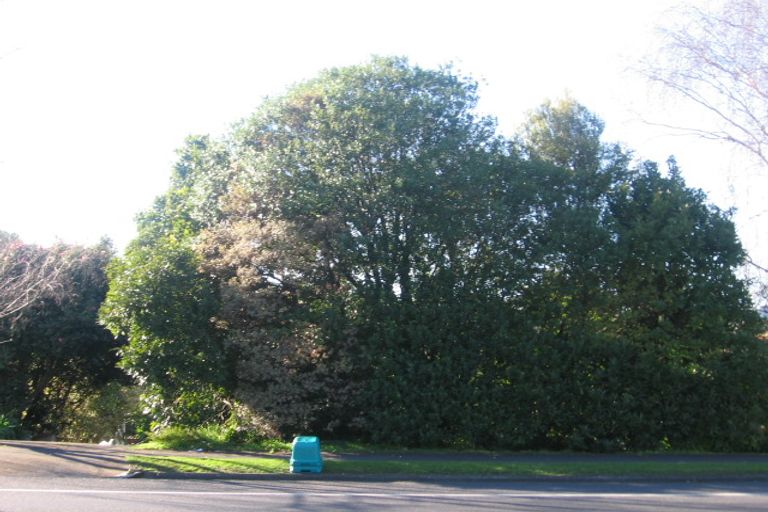 Photo of property in 396 Great South Road, Opaheke, Papakura, 2113