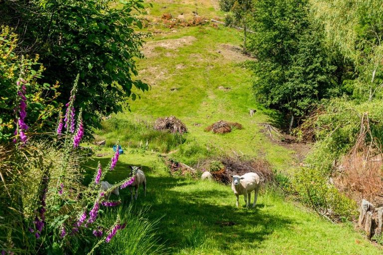 Photo of property in 31 Lake View Street, Waihola, Milton, 9073