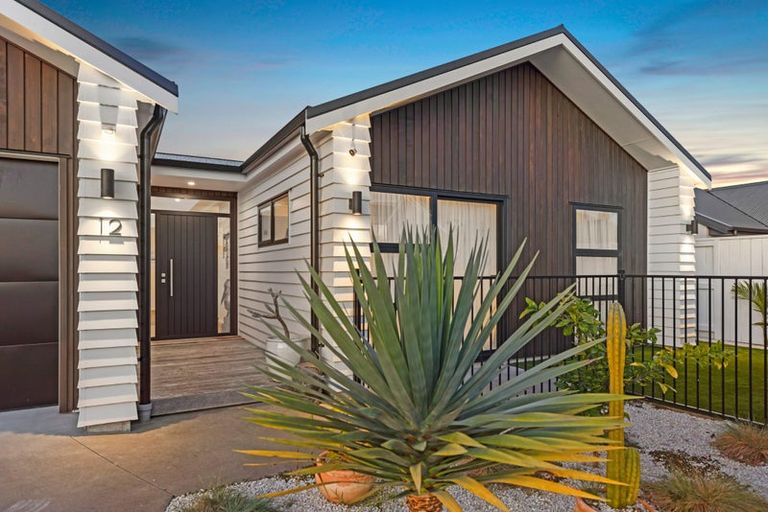 Photo of property in 12 Mida Close, Papamoa Beach, Papamoa, 3118