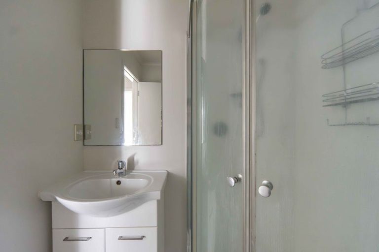 Photo of property in 58 Willoughby Street, Whitiora, Hamilton, 3200