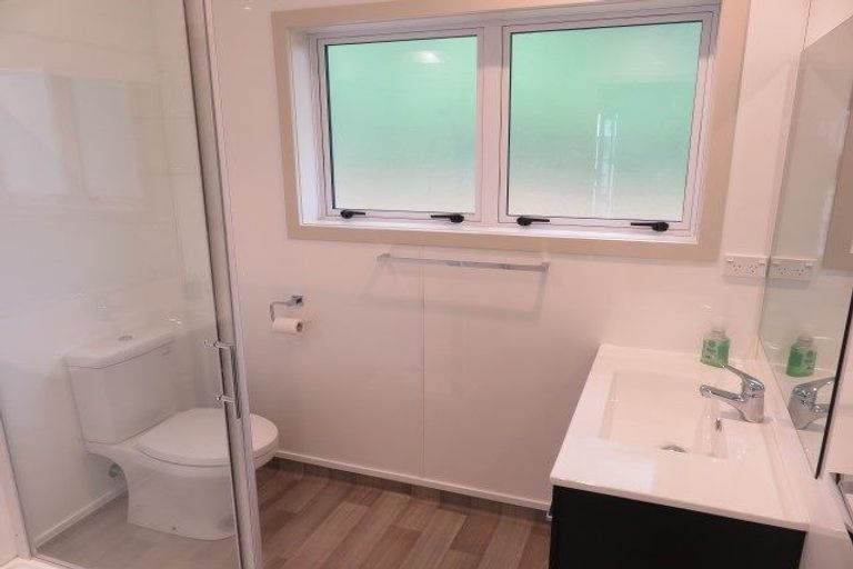 Photo of property in 41 Norton Road, Frankton, Hamilton, 3204