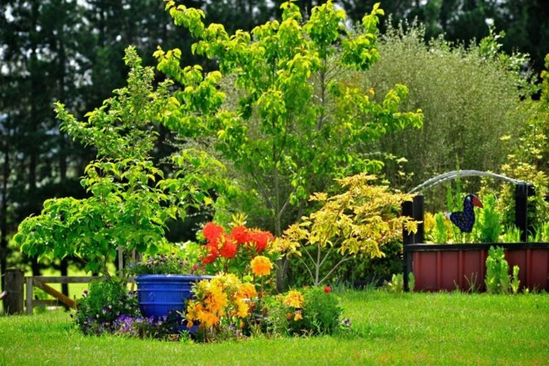 Photo of property in 67 White Road, Broadlands, Reporoa, 3081