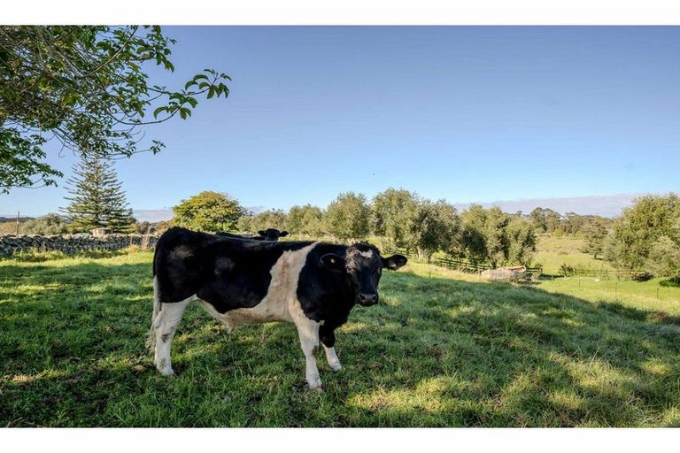 Photo of property in 946 Kerikeri Inlet Road, Kerikeri, 0293